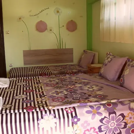 Stella Palace فيلة *