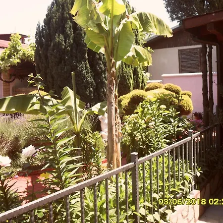 Stella Palace *