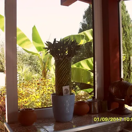 Stella Palace *