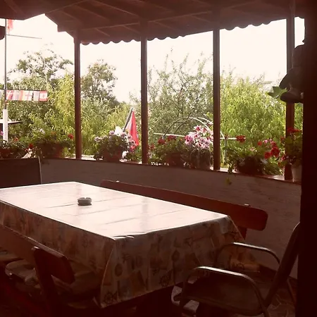 Stella Palace