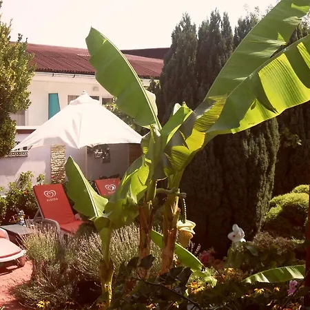 فيلة Stella Palace بايالا
