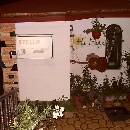 Stella Palace فيلة *